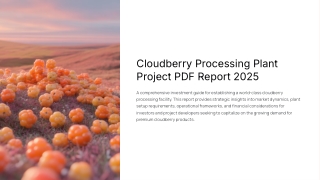 Cloudberry Processing Plant Cost Project PDF Report 2025