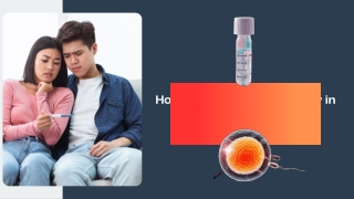 How Insulin Affects Fertility in Men and Women