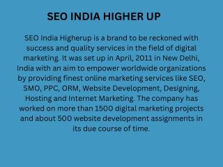 Best Corporate Reputation Management Company-Seo India Higherup