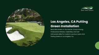 Synthetic Turf Installation Los Angeles
