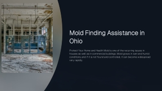 Mold Finding Assistance OH