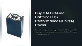 Buy CALB CA100 Battery