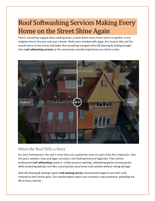 Roof Softwashing Services Making Every Home on the Street Shine Again
