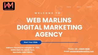 Performance Driven Digital Marketing Agency - Web Marlins