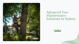Advanced Tree Maintenance Solutions for Better Property Safety