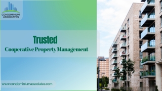 Expert Cooperative Property Management Services by Condominium Associates