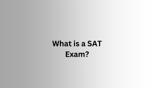 What is a SAT Exam