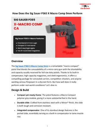 How Does the Sig Sauer P365 X Macro Comp 9mm Perform