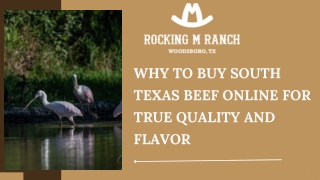 Why to Buy South Texas Beef Online for True Quality and Flavor