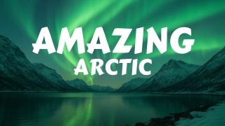 Amazing Arctic