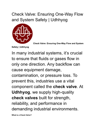 Check Valve_ Ensuring One-Way Flow and System Safety _ UdhhyogCheck Valve_ Ensuring One-Way Flow and System Safety _ Udh
