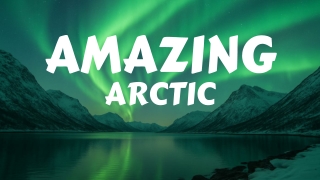 Amazing Arctic