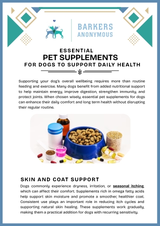 Best Pet Supplements for Dogs to Improve Daily Wellness