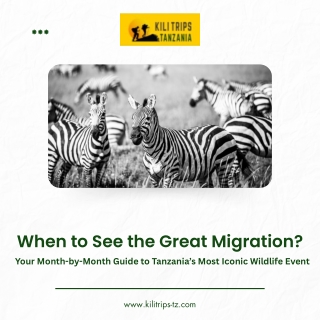 kilitrip pdf When to See the Great Migration