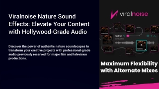 Nature Sound Effects for Relaxing & Realistic Audio Edits