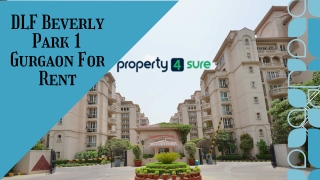 DLF Beverly Park 1 Gurgaon For Rent