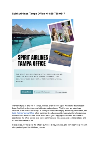 Spirit Airlines Tampa Office  1-888-738-0817