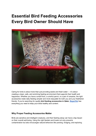 Essential Bird Feeding Accessories Every Bird Owner Should Have