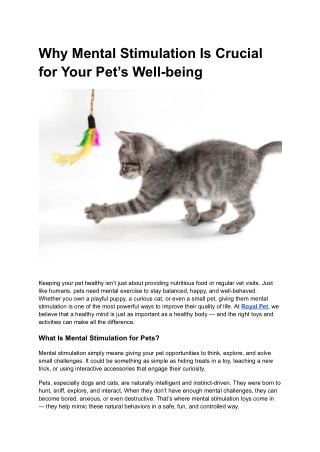 Why Mental Stimulation Is Crucial for Your Pet’s Well-being