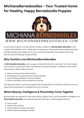 MichianaBernedoodles – Your Trusted Home for Healthy, Happy Bernedoodle Puppies