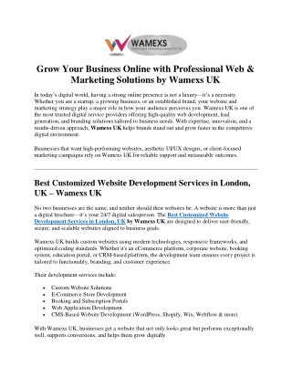 wamexs-uk-professional-web-design-and-lead-generation