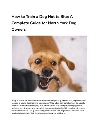 How to Train a Dog Not to Bite_ A Complete Guide for North York Dog Owners