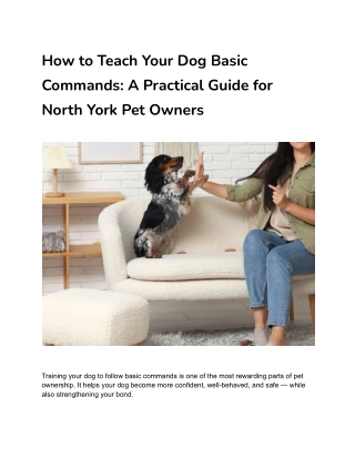 How to Teach Your Dog Basic Commands_ A Practical Guide for North York Pet Owners