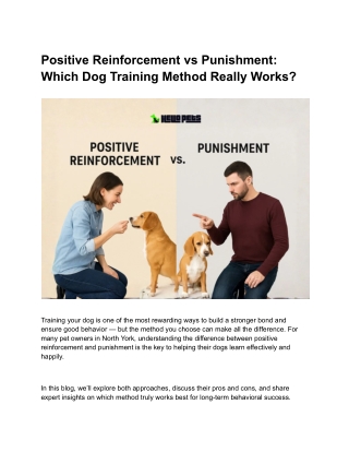 Positive Reinforcement vs Punishment_ Which Dog Training Method Really Works_