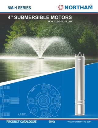 Premium Oil-Filled 4" Submersible Motors by Northam Inc