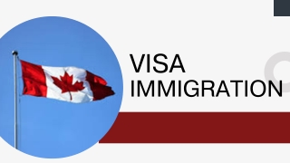 visa immigration Mississuaga