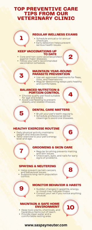 Top Preventive Care Tips from Our Veterinary Clinic