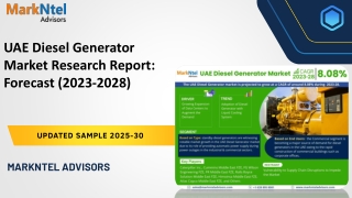 UAE Diesel Generator Market