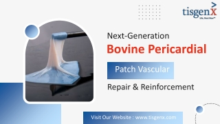 Next-Generation Bovine Pericardial Tissue Patch for Vascular Surgery