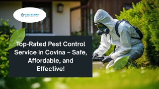 Top-Rated Pest Control Service in Covina – Safe, Affordable, and Effective!