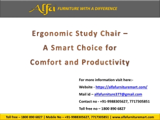 Ergonomic Study Chair