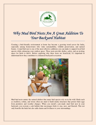 Why Mud Bird Nests Are A Great Addition To Your Backyard Habitat