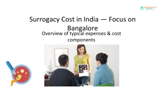 Surrogacy Cost in India | World Fertility Services