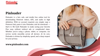 Downloader Pinterest Video