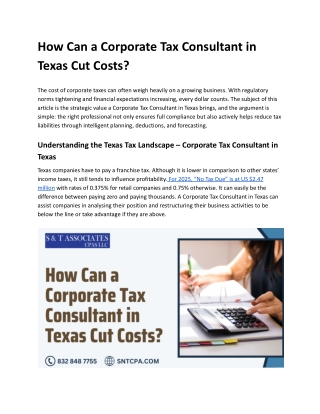 Affordable Corporate Tax Consultant in Texas, 2025 - SNT CPA