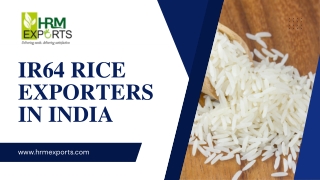 Best IR64 Rice Exporters in India