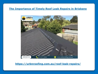 The Importance of Timely Roof Leak Repairs in Brisbane