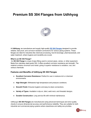 Premium SS 304 Flanges from Udhhyog