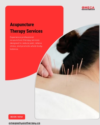 Acupuncture Therapy Services | Omega Physiotherapy & Rehab