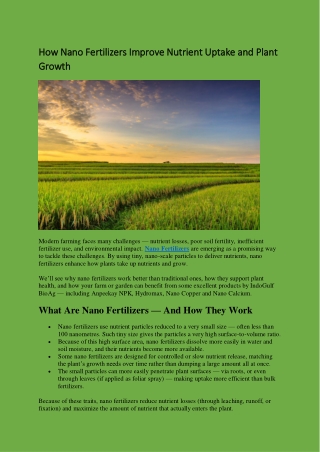 How Nano Fertilizers Improve Nutrient Uptake and Plant Growth