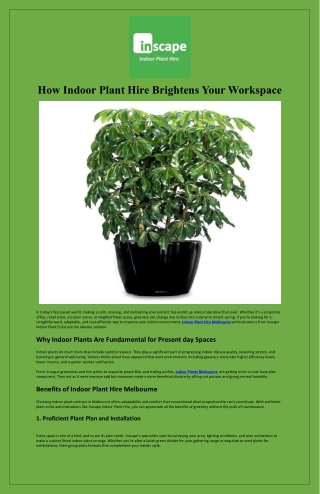 How Indoor Plant Hire Brightens Your Workspace