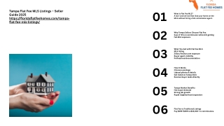 Tampa FSBO MLS Strategy 2025