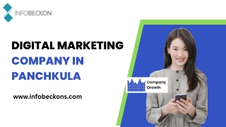 digital marketing company in panchkula