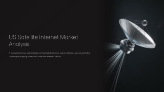US Satellite Internet Market Size, Share, Growth and Forecast 2025-2033