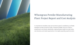 How to Start a Wheatgrass Powder Manufacturing Plant