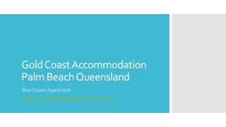 Gold Coast Accommodation Palm